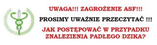 Jak postepować w przypadku znalezienia padłego dzika?