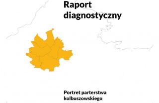 Raport diagnostyczny