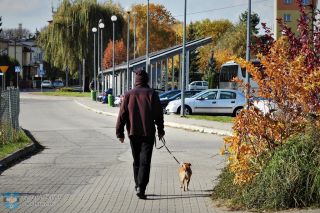 Budowa schroniska dla zwierząt w Kolbuszowej Dolnej