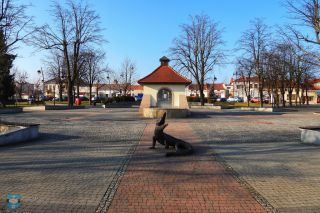 Największy krokodyl znajduje się na kolbuszowskim Rynku