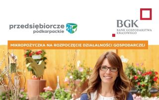 Projekt „Przedsiębiorcze Podkarpackie”