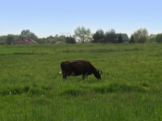 Warsztaty w skansenie