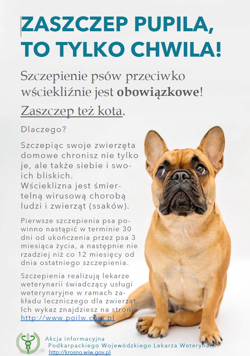 Akcja informacyjna