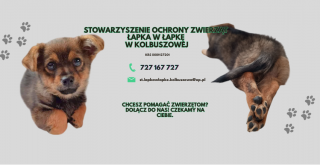 Stowarzyszenie Ochrony Zwierząt „Łapka w Łapkę” w Kolbuszowej 