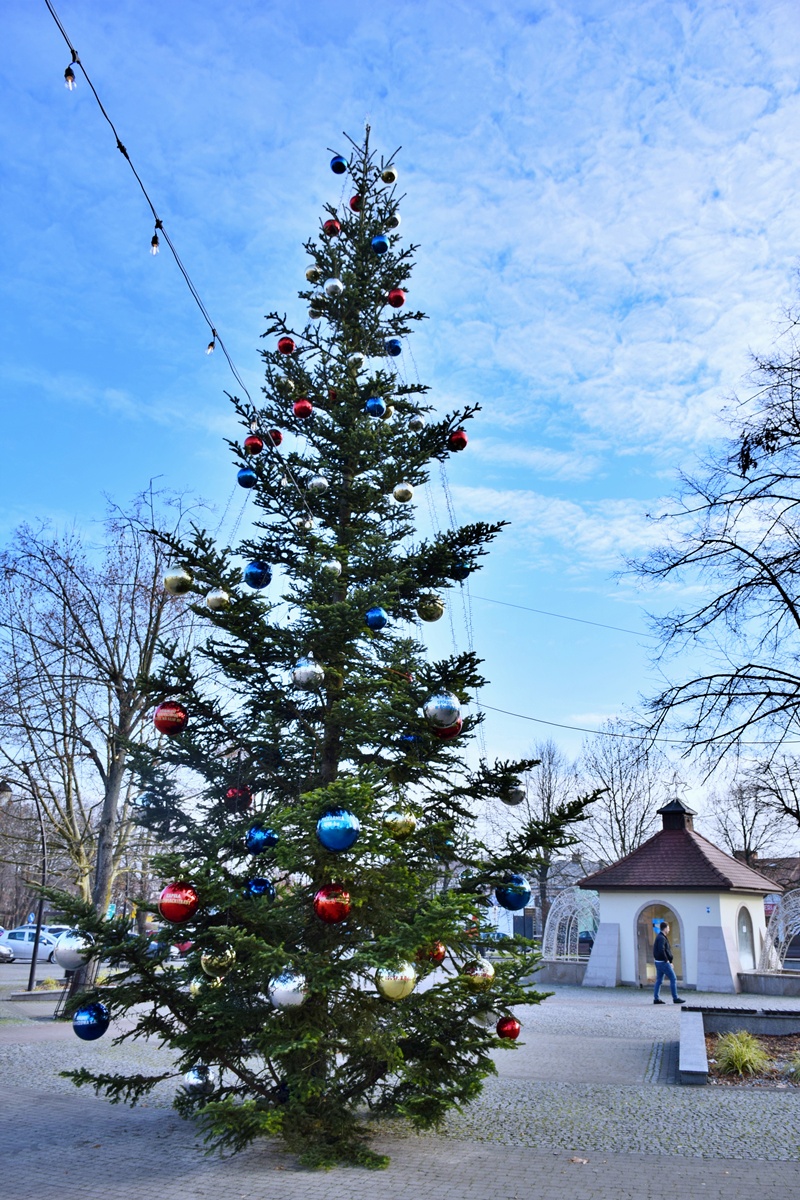 Podziękowania od Burmistrza Kolbuszowej 