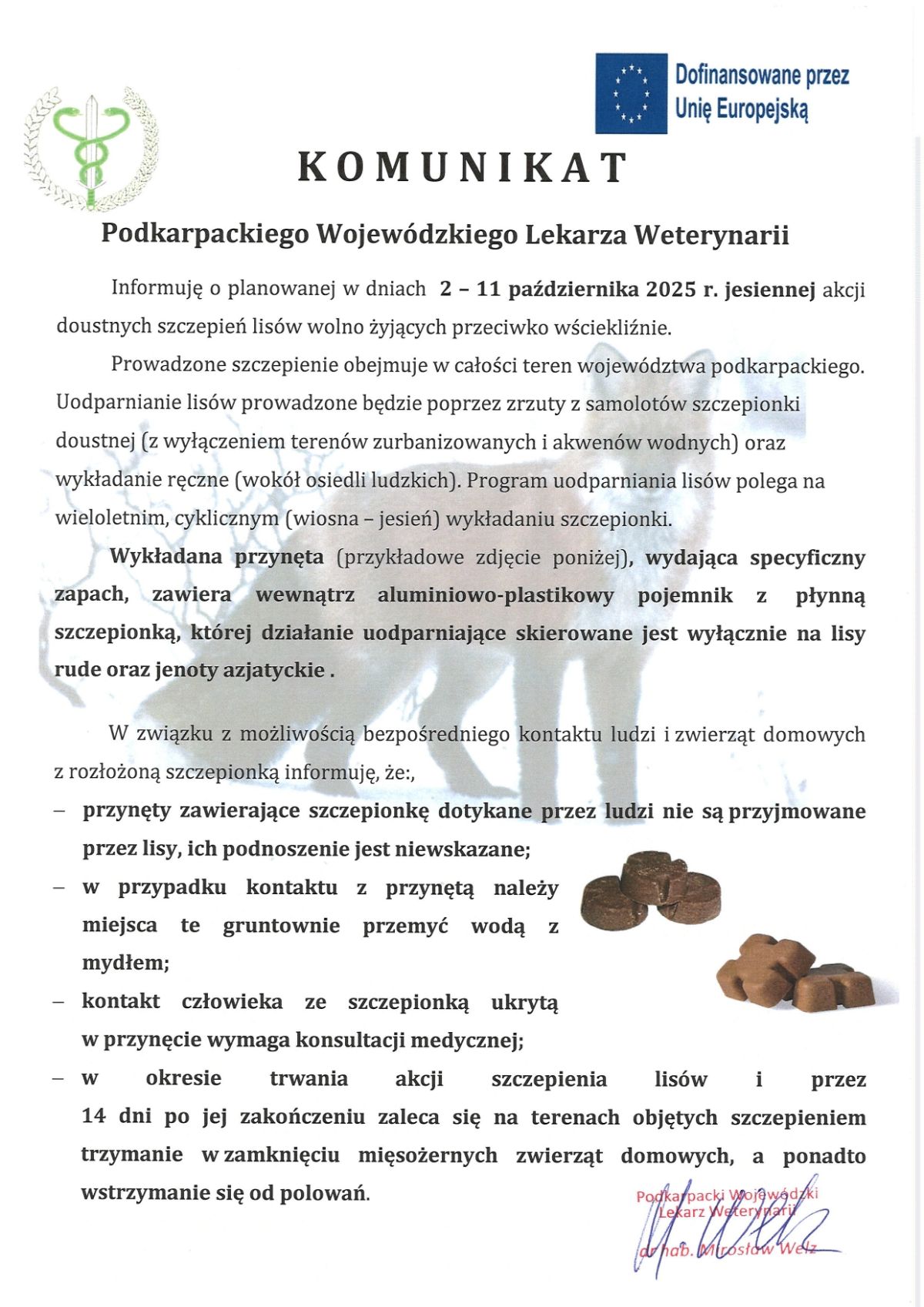 Jesienna akcja szczepienia lisów przeciwko wściekliźnie w terminie 2 – 11 października 2025 r. 