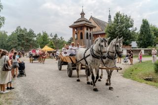 „Koń, jaki jest…” ponownie przyciągnął tłumy do skansenu