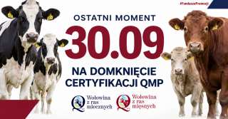 Certyfikat QMP — termin uzyskania upływa 30 września 2026 r.