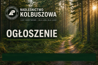 Ogłoszenie - Nadleśnictwo Kolbuszowa