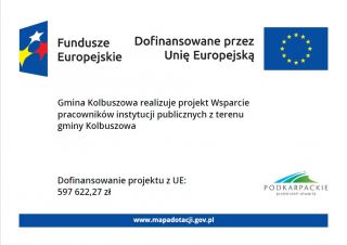 Wsparcie procesów adaptacyjnych i modernizacyjnych instytucji publicznych
