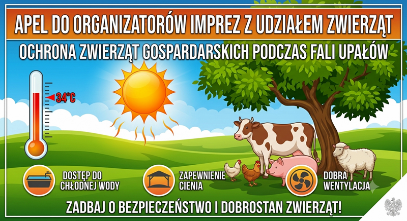 Informacja
